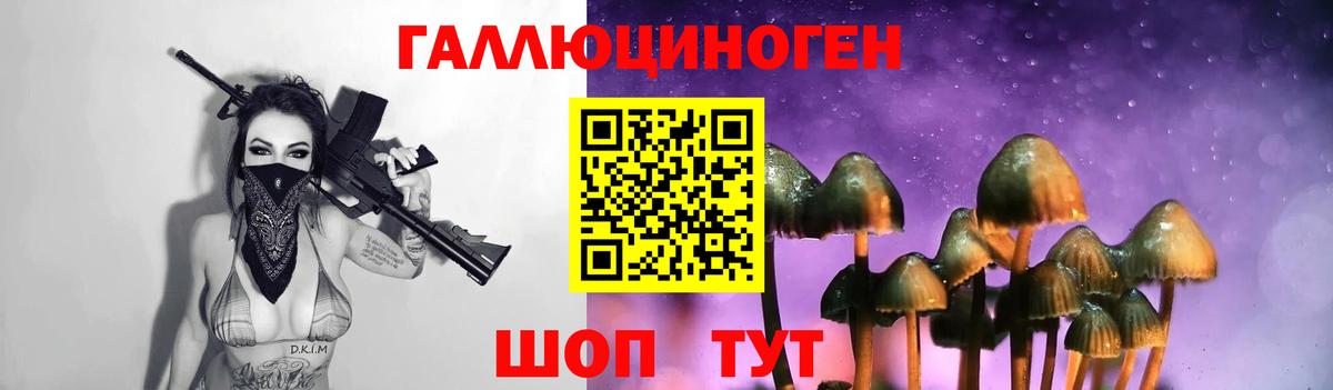 Тихвин  Галлюциногенные грибы Psilocybe  Вход с VPN 
